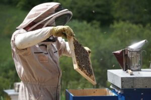 Strój pszczelarza - funkcje i znaczenie